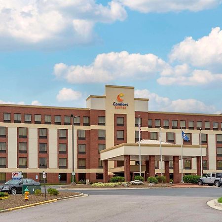 Comfort Suites Outlet Center Asheville Esterno foto
